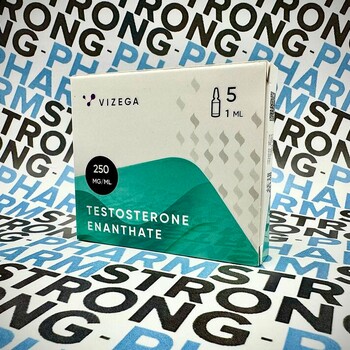 TESTOSTERONE E (тестостерон энантат) от VIZEGA