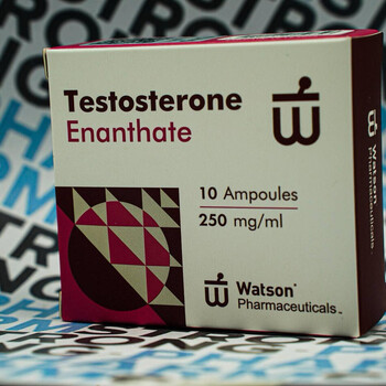 Testosterone Enanthate NEW WATSON 250 мг/мл 10 ампул