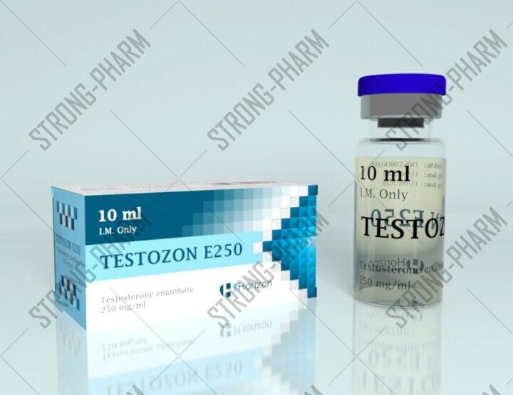 TESTOZON E 250 (тестостерон энантат) от HORIZON