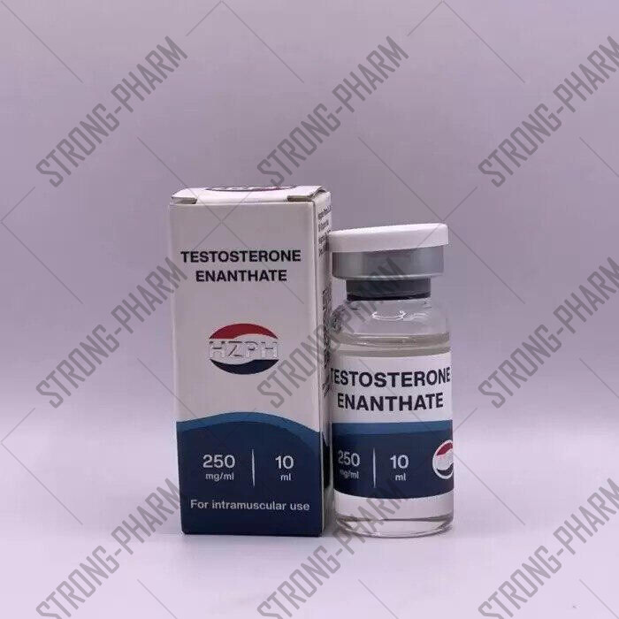 Testosterone Enanthate HZPH 250 мг/мл 10 мл