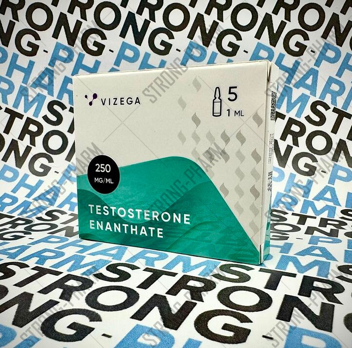 TESTOSTERONE E (тестостерон энантат) от VIZEGA